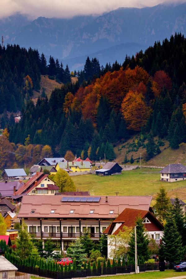 Отель Casa Muntelui Фундата Экстерьер фото